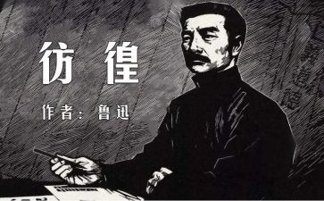 《彷徨》的读后感6篇