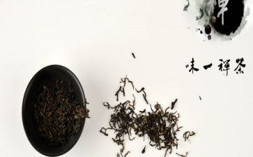 禅语言心得体会优秀7篇