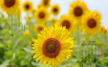 2024年10月份工作计划模板6篇