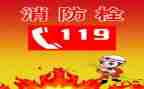 119演习心得体会5篇