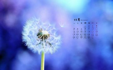 幼儿园12月心得体会5篇