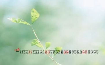 小班12月份工作计划5篇