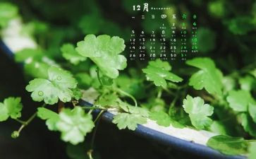 12月心得体会范文8篇