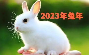 2023年爱国卫生月心得体会5篇