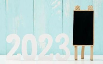 2023年幼儿园教师工作个人总结通用5篇