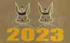 2023年学雷锋主题活动总结8篇