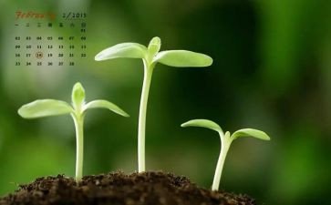 第2月考心得体会8篇