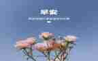 3月安全工作总结通用5篇