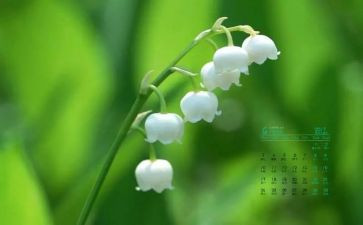 幼儿园教师4月工作总结5篇