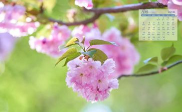 幼儿园4月份的工作总结6篇