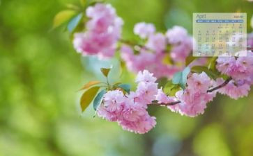 幼儿园大班4月份工作计划7篇