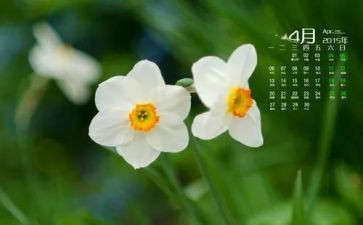 大班4月份月工作计划8篇