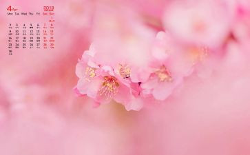 4月份演讲稿7篇