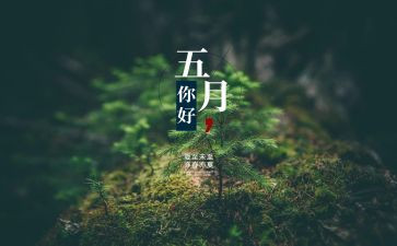 幼儿园大班5月份工作计划8篇
