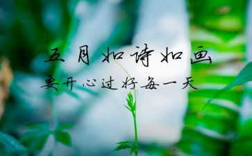 教师5月份工作总结6篇