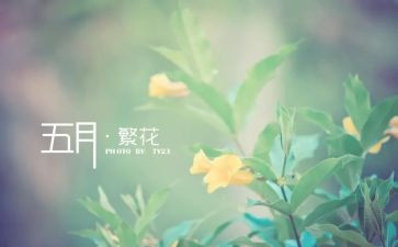 5月工作心得体会6篇