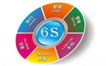 6s后心得体会优质5篇
