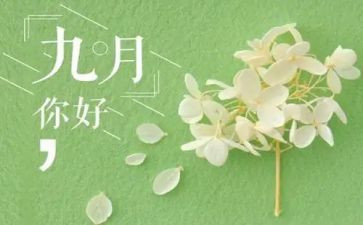 9月份的工作总结优质8篇