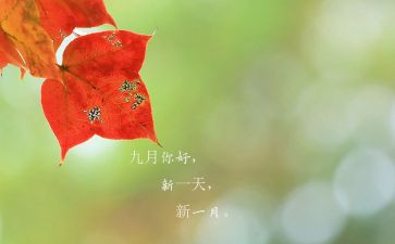 幼儿园9月份的周工作计划6篇