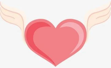 最爱的人读后感模板7篇
