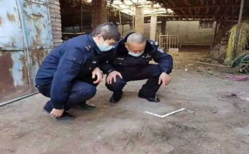 档案及档案管理工作总结模板5篇