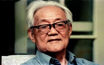 雾巴金读后感6篇
