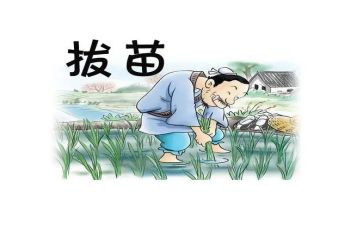拔苗助长,读后感7篇