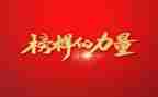 榜样15心得体会模板8篇