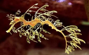 生物教师教学总结通用8篇