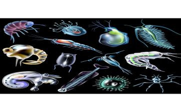 生物个人总结推荐7篇