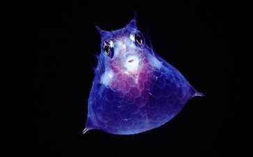 生物教师教学总结最新5篇