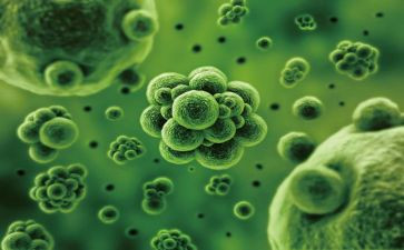 生物工作总结范文优秀5篇