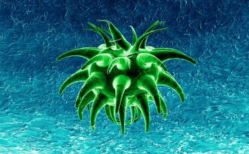 生物心得体会精选5篇