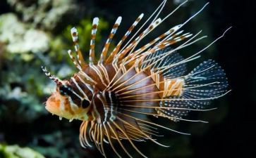 生物教育心得体会8篇