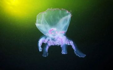生物新学期工作计划8篇