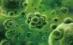 初二生物学期工作总结7篇