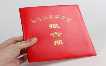 报告册总结心得体会优质8篇