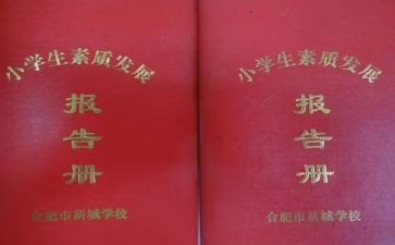 社会实践报告册心得体会模板6篇