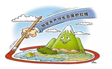 学习保护环境心得体会7篇