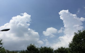 变化作文作文通用8篇