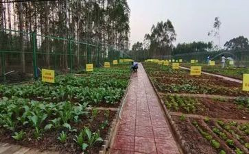 鲁菜英文作文参考8篇