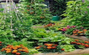 写炒菜作文500字优秀5篇