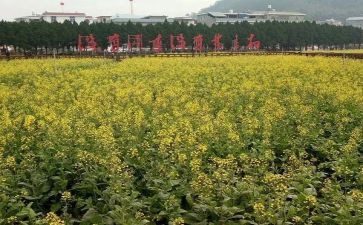 才溪博物馆心得体会推荐7篇