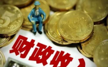 财政所年度个人总结8篇
