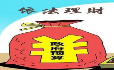 财政半年工作总结5篇
