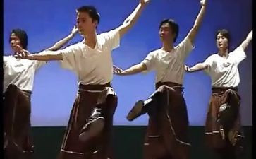 藏舞心得体会300字6篇