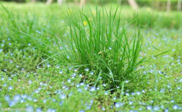 烟草客户经理工作总结最新5篇