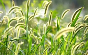 2024烟草个人总结优秀6篇