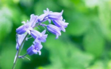 读了草船借箭的读后感400字6篇