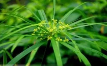 在草原上作文推荐8篇